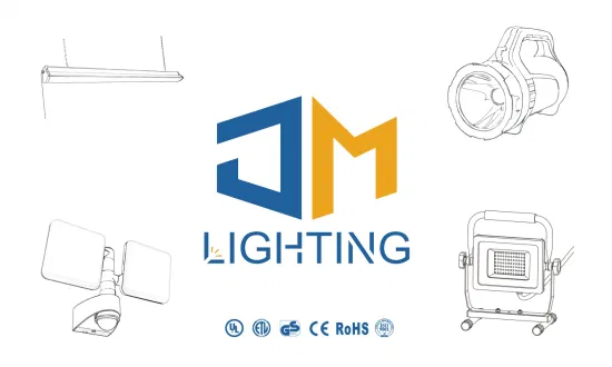 Lumière tenue dans la main de remplissage sans fil de travail d'inspection de 1000lm LED